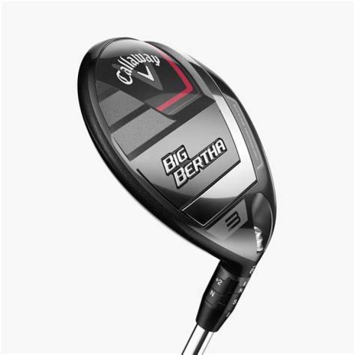 Are Big Bertha woods good for beginners?
