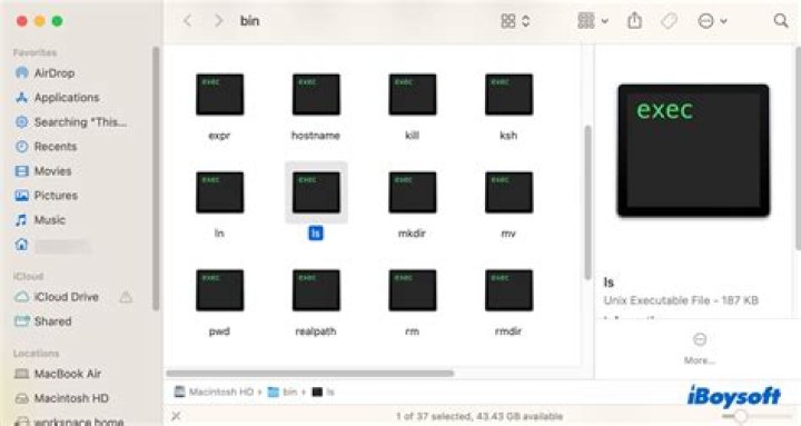 Can I run UNIX commands on Mac?