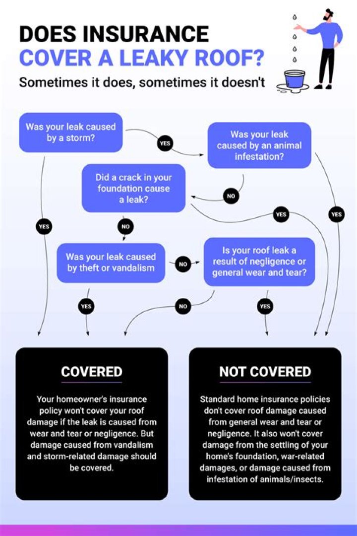 Does insurance cover 3 D ultrasounds?