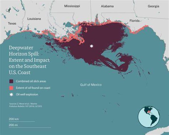 How did the government respond to the BP oil spill?