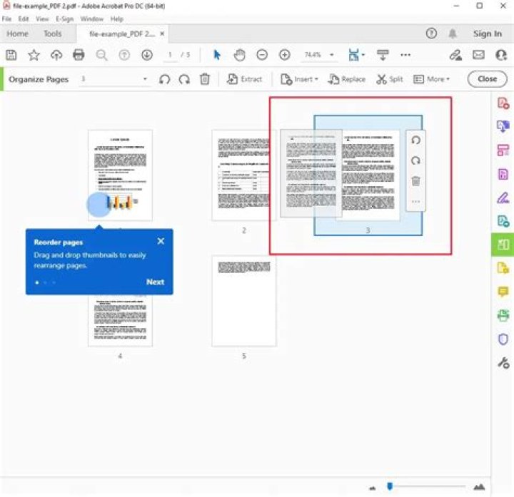How do I change the order of pages in Preview?