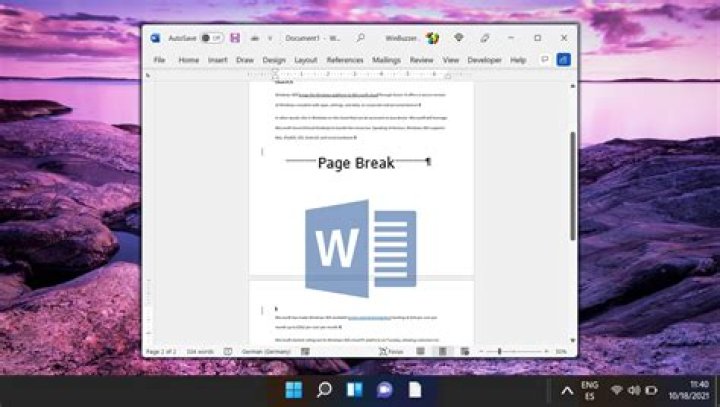 How do I do a page break in Word?