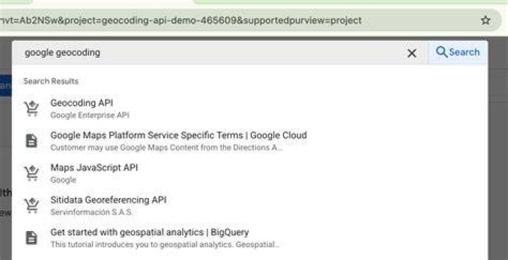 How do I get the Geocoding API key from Google Maps?