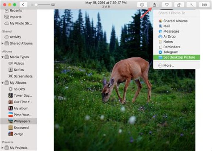 How do I save a picture as wallpaper on Mac?