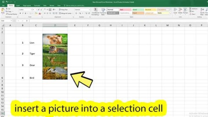 How do you insert a mask in Excel?