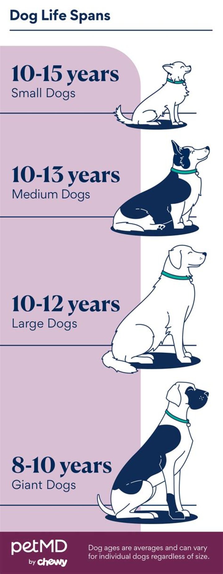How Long Can dogs live on heart medication?
