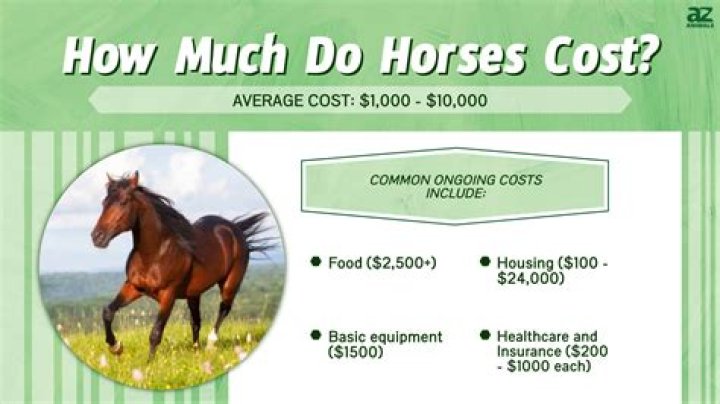 How much does an Ochre card cost?