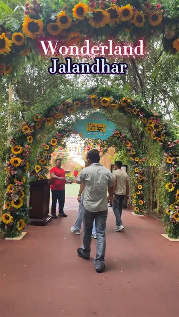 Is Wonderland Jalandhar open today?