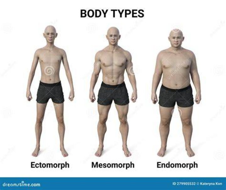 Por que o ectomorfo e mais saudavel?