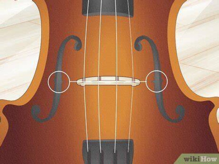 Should a violin bridge have notches?