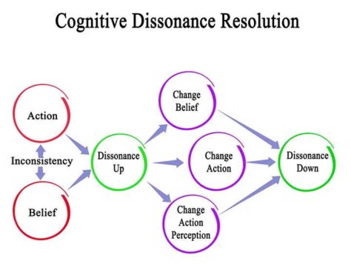 What are 7 signs of cognitive dissonance?