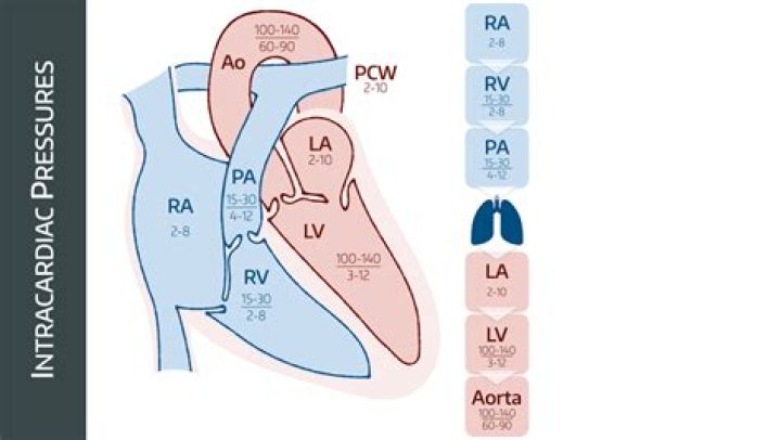 What are intracardiac pressures?