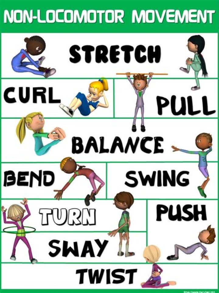 What are non-locomotor activities?