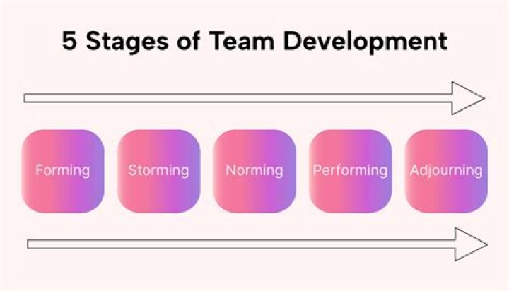 What are the 5 stages of team development according to Tuckman?