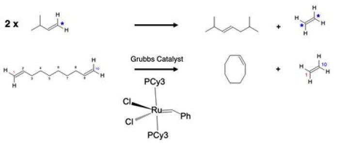 What are the examples of metathesis?