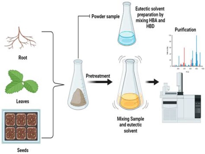 What are the methods used for phytochemical analysis?
