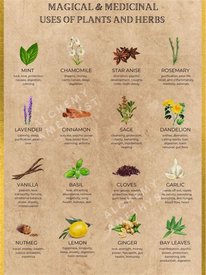 What are the properties of herbs?