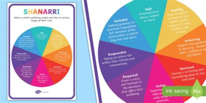 What are the Shanarri principles?