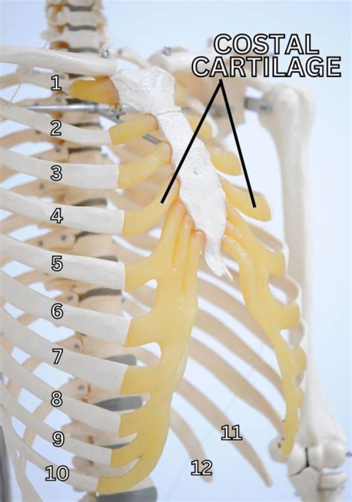 What are the signs of a costal cartilage injury?
