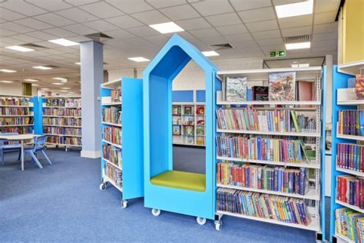 What can you do at a library for community service?