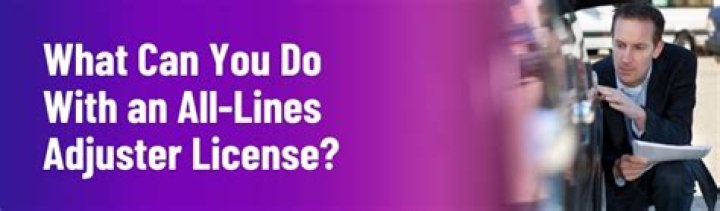 What can you do with an All Lines Adjuster license?