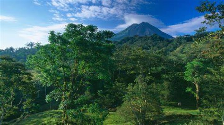 What city is Volcano National Park in?