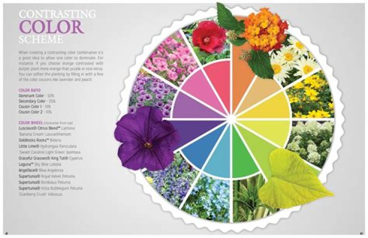 What color flowers go best together?