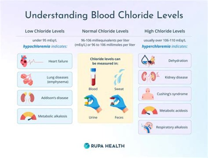 What do high chloride levels indicate?