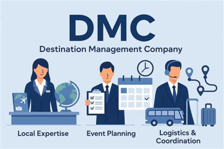 What does DMC mean Panasonic?