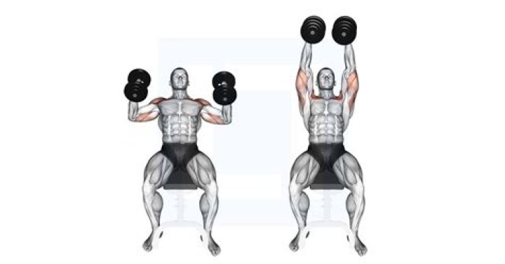 What does Hammer shoulder press work?
