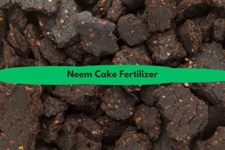 What does neem cake contain?