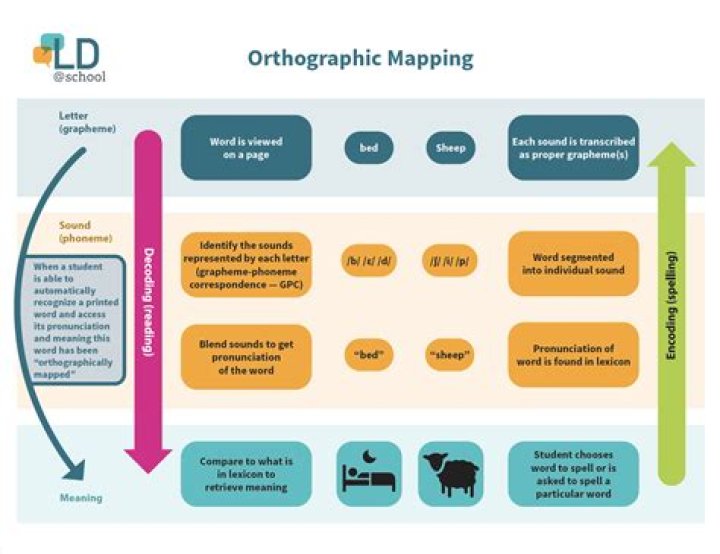 What does orthographic processing mean?