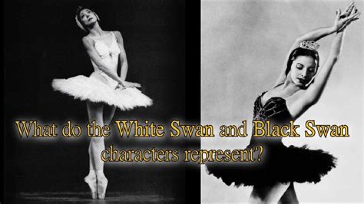 What does the black swan represent in Swan Lake?