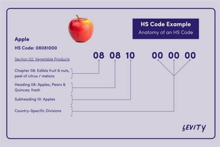 What is a Code 6 house?