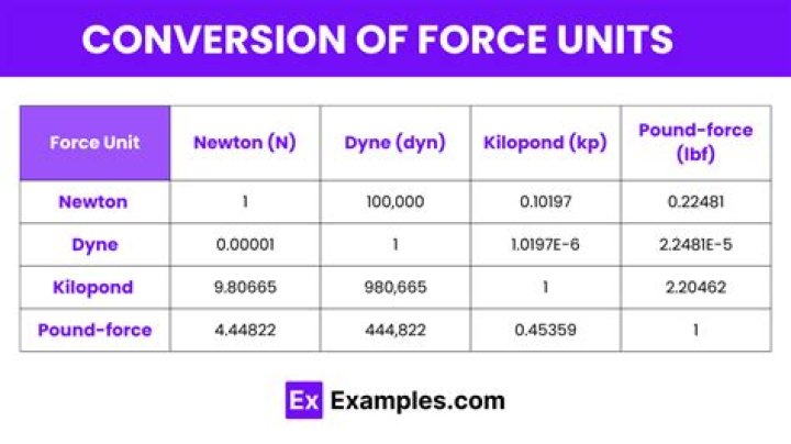 What is a newton force equal to?