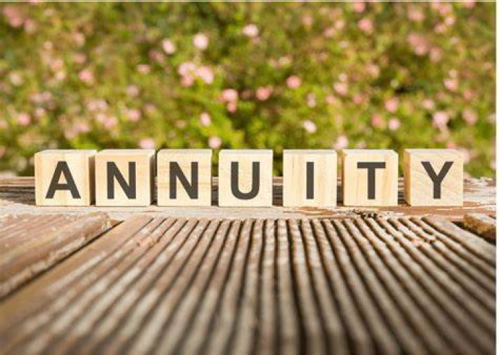 What is a patent annuity?