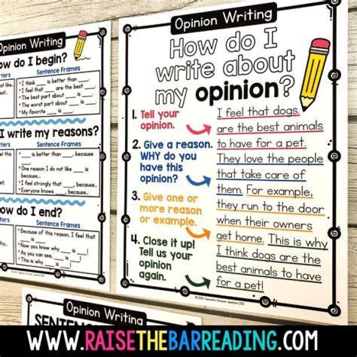 What is an opinion for 2nd grade?