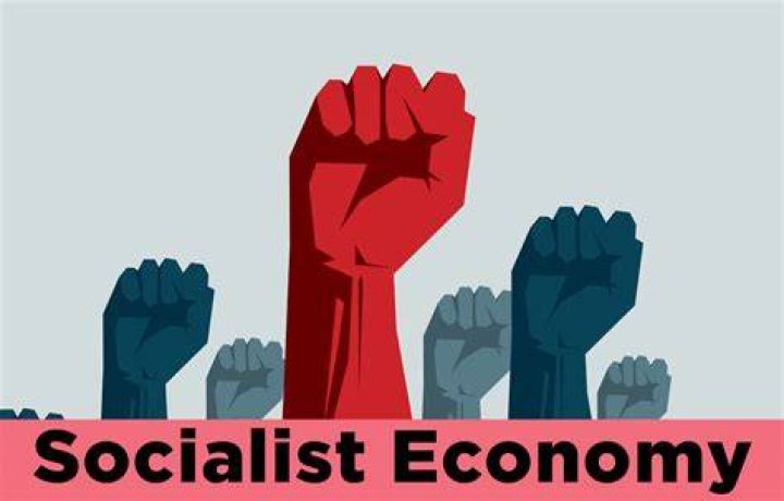 What is another name of socialist economy?