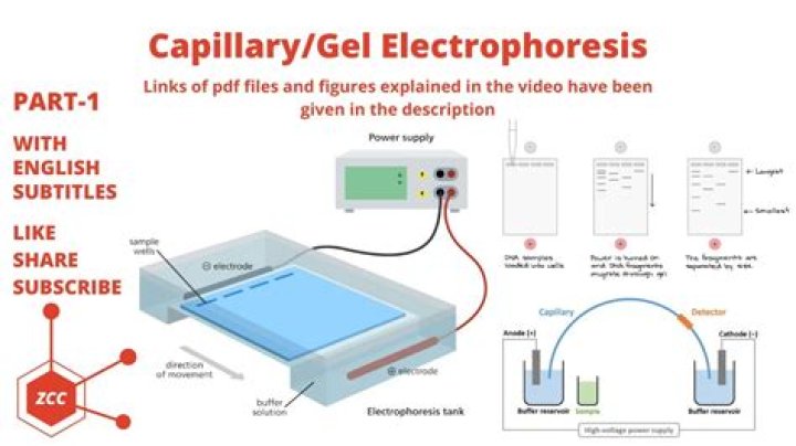 What is capillary electrophoresis in DNA analysis?