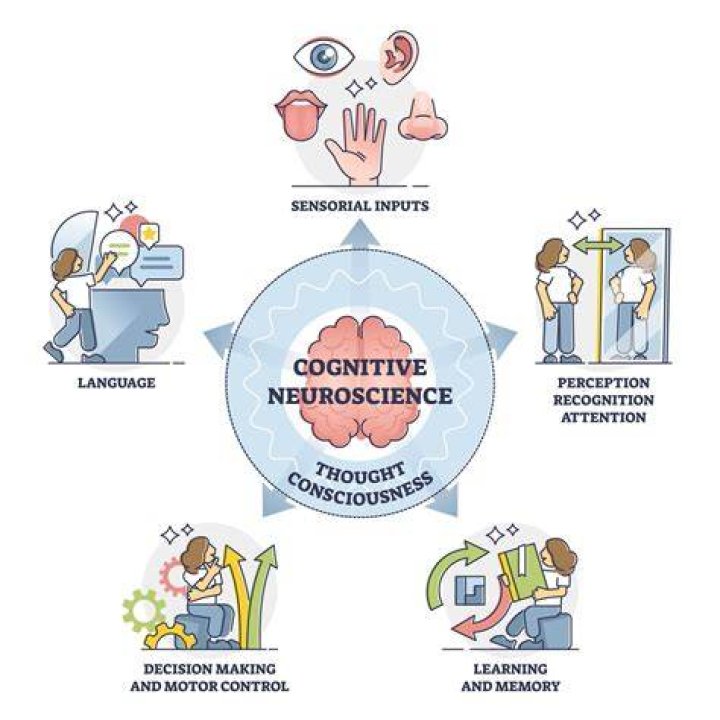 What is cognitive neuroscience today?