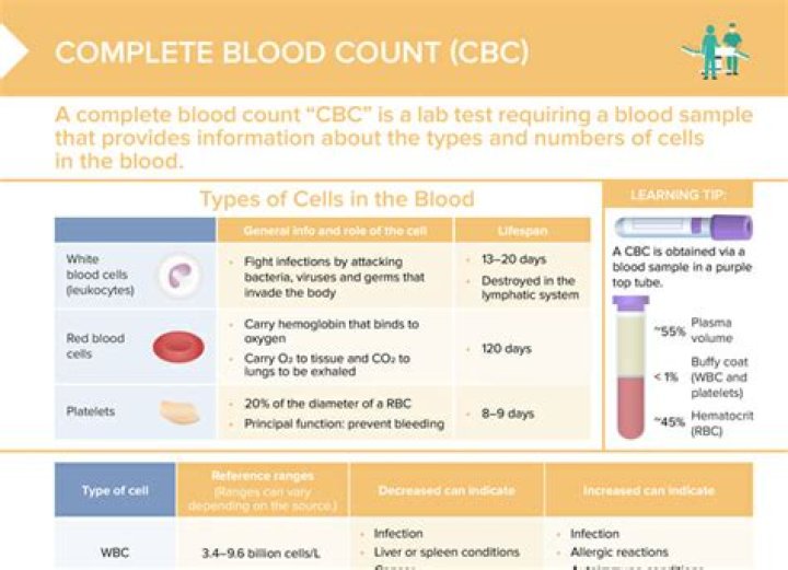 What is included in a CBC lab test?