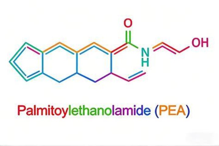 What is Palmitoylethanolamide made from?