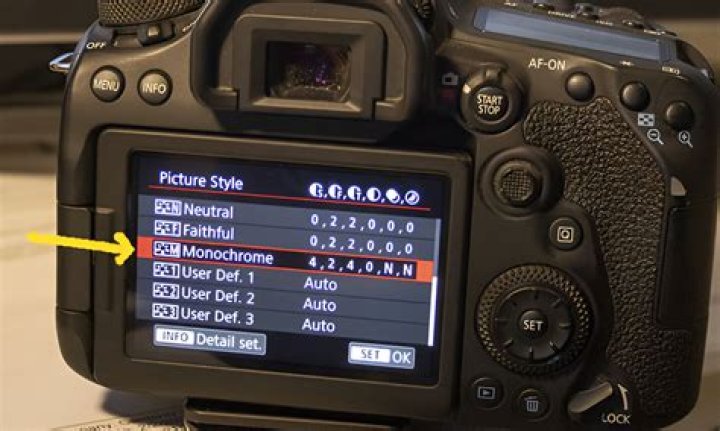 What is Picture Style on a Canon camera?