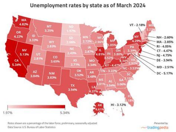 What is the average unemployment check by state?