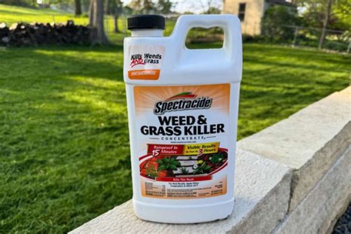 What is the best weed killer for stickers?