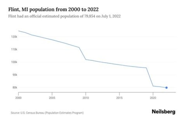What is the demographic of Flint Michigan?