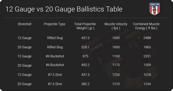 What is the effective range of a 20 gauge slug?