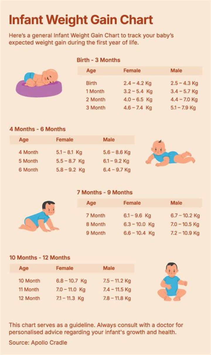 What is the max weight for a baby swing?