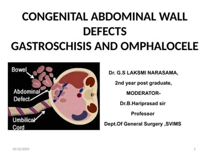 What is the silo used in gastroschisis?