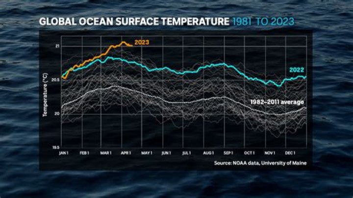 What is the temperature of the water in Ocean City Maryland right now?